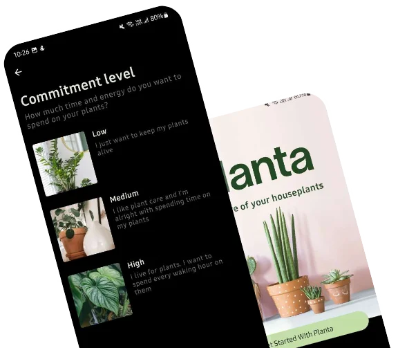 About WOMBO Dream App About WOMBO Dream App