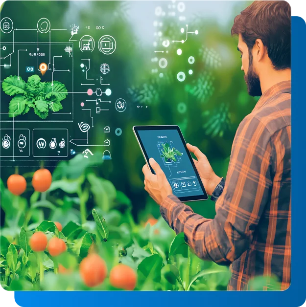 Details of Agriculture Software Development