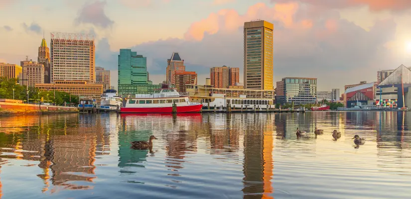 Hire Food Delivery App Developers In Maryland