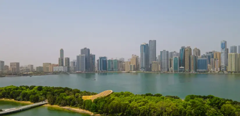 Hire ASP.NET Developers In Sharjah
