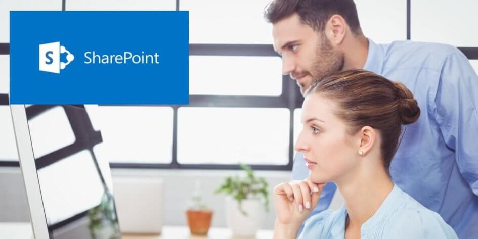 SharePoint Consultant