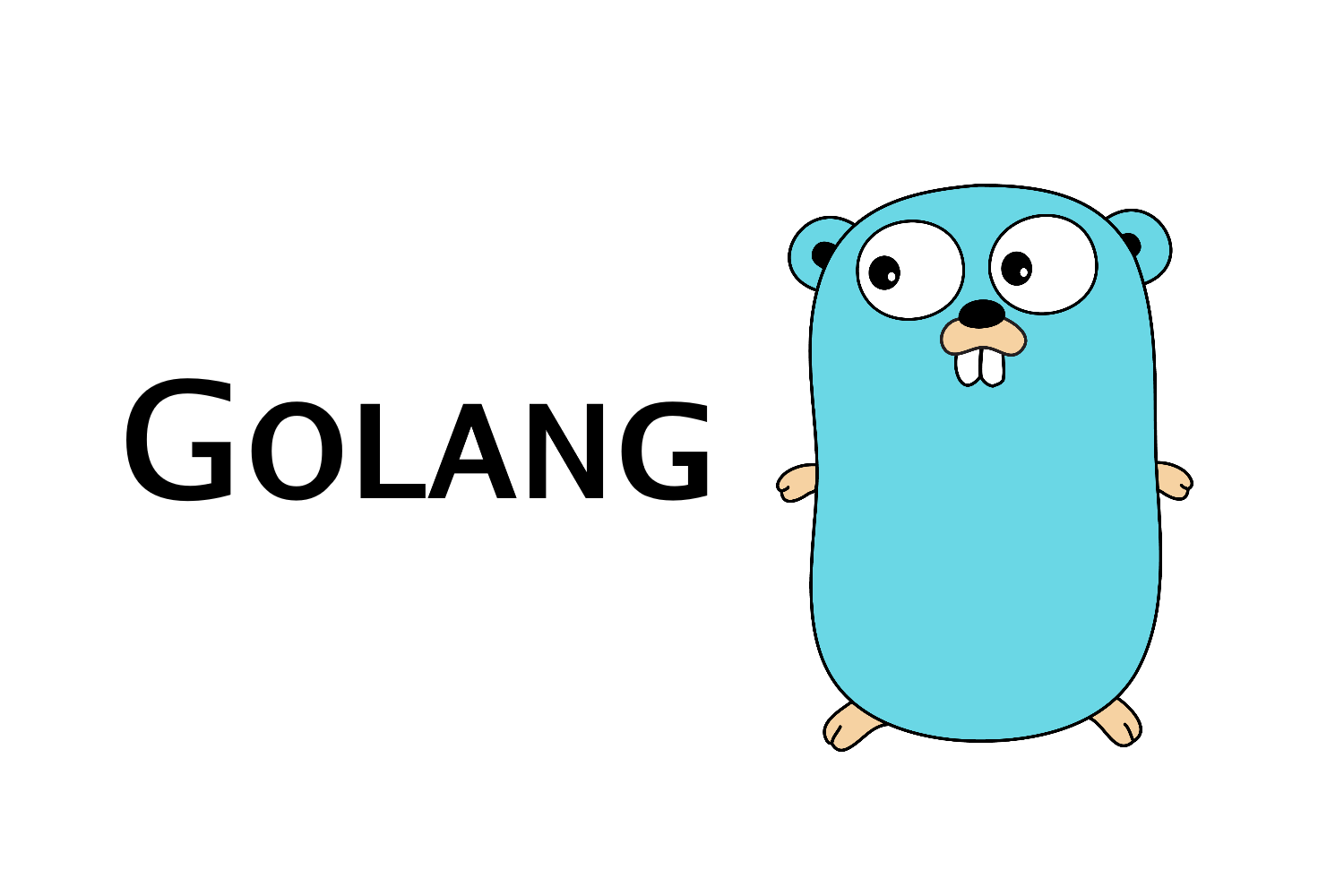 Golang Developer