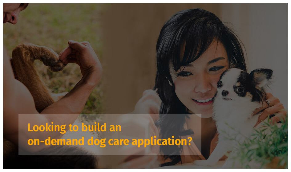 On-demand dog care application