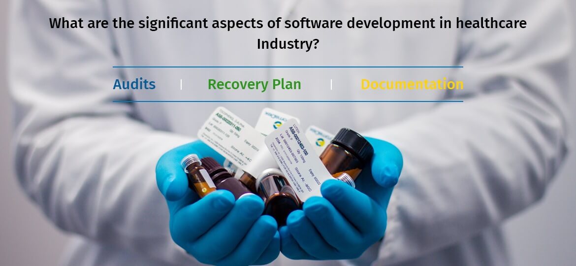  What are the significant aspects of software development in healthcare Industry?