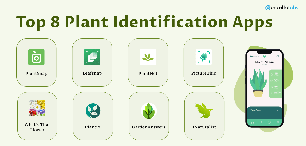 Top 8 Plant Identification Apps