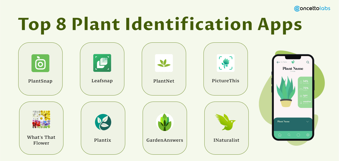 Top 8 Plant Identification Apps Top 8 Plant Identification Apps