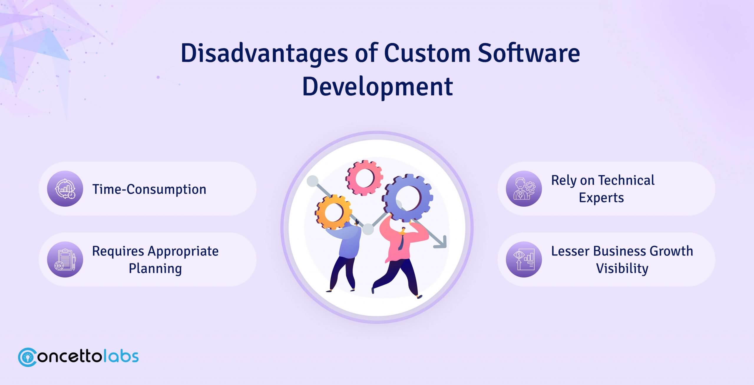 Disadvantages of Custom Software Development