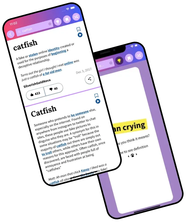 Urban Dictionary App  Develop an Urban Slang Dictionary