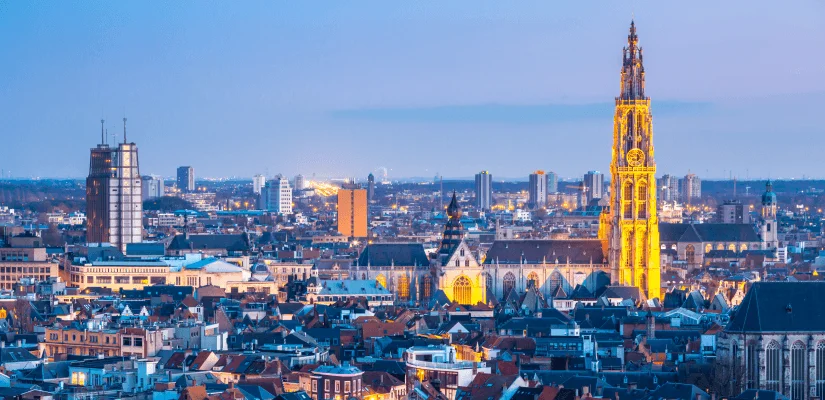 Hire Reactjs Developers In Belgium