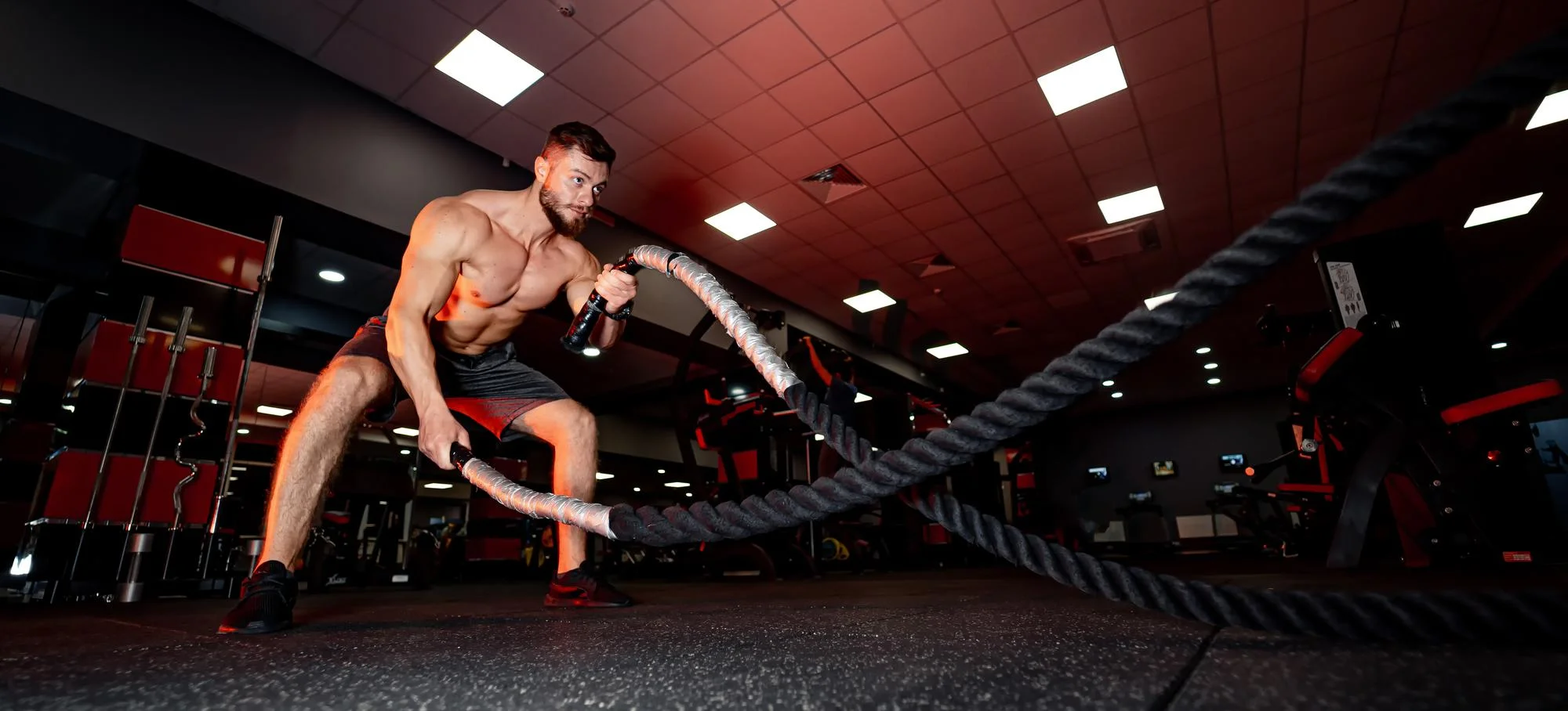 workout-mobile-app